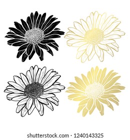 Decorative chamomile flowers, design elements. Can be used for cards, invitations, banners, posters, print design. Golden flowers