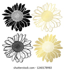 Decorative chamomile flowers, design elements. Can be used for cards, invitations, banners, posters, print design. Golden flowers