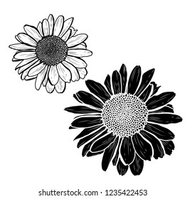 Decorative chamomile flowers set, design elements. Can be used for cards, invitations, banners, posters, print design. Floral background in line art style