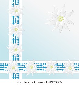 Decorative checkered pattern with Edelweiss as background, vector