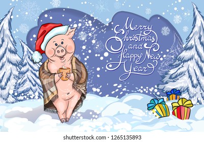 Decorative Christmas card-happy new year and merry Christmas 2019, Pigs. Winter landscape, handwritten greetings. Christmas trees, snow, gifts, Santa costume, warm blanket, tea.