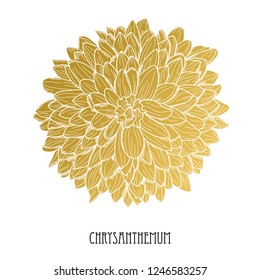 Decorative chrysanthemum  flower, design element. Can be used for cards, invitations, banners, posters, print design. Golden flowers