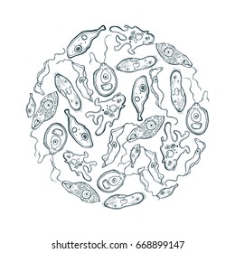 Decorative circle with different microorganisms. Vector illustration