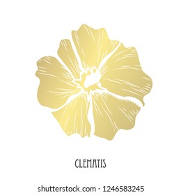 Decorative clematis  flower, design element. Can be used for cards, invitations, banners, posters, print design. Golden flowers