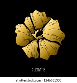 Decorative clematis  flower, design element. Can be used for cards, invitations, banners, posters, print design. Golden flowers