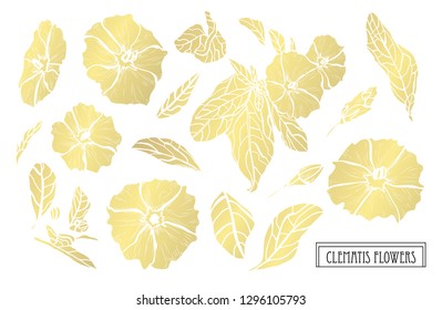 Decorative clematis flowers, design elements. Can be used for cards, invitations, banners, posters, print design. Golden flowers
