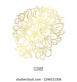 Decorative  clivia flowers, design elements. Can be used for cards, invitations, banners, posters, print design. Golden flowers
