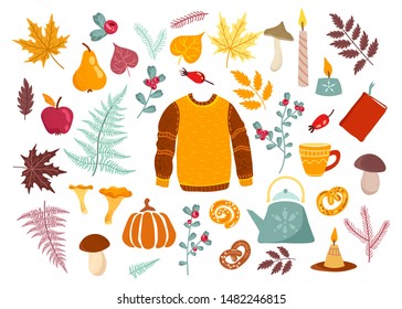 Decorative collection of cozy things. Autumn mushrooms and plants, tea party, hygge style