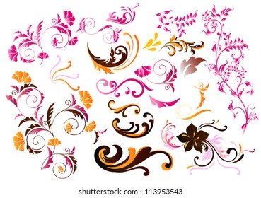 Decorative color  elements for your design. Calligraphic vector