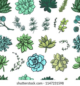 Decorative color graphic succulent pattern