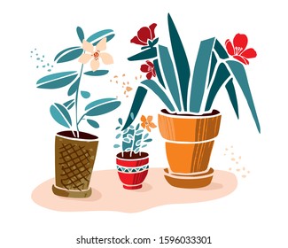 Decorative colored house plants with flowers in ceramic pots hand drawn in a flat style on a white background. The concept banner home life style, care of  home. Eco thinking. Vector illustratration.