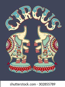 decorative colored poster template with inscription CIRCUS and two elephants performance on dark blue background, vector illustration