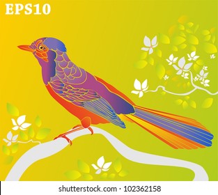 Decorative colorful bird
