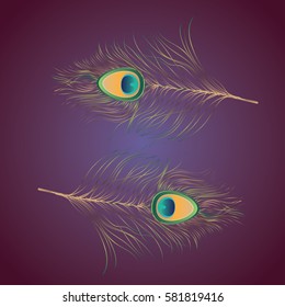 Decorative colorful peacock feathers illustration, peacock plumage.