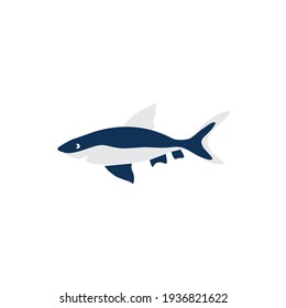 Decorative colorful shark, wild danger animal, cartoon character design, Cute flat vector illustration predator isolated on white, fish for design zoo alphabet, children invitation, greeting card
