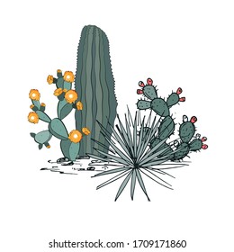 Decorative composition composed of groups of cacti, blooming prickly pear, and yucca. Vector illustration isolated on white background.