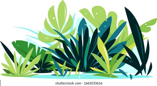 Decorative composition of different jungle plants on ground, group of green plants isolated, dense vegetation of the jungle