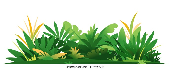 Decorative composition of jungle plants on ground, group of green plants on the sunny lawn isolated, dense vegetation of the jungle