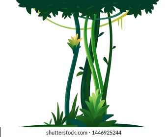 Decorative composition of jungle trees and lianas on white background, green silhouette of vegetation of the jungle, topical forest plants