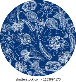 decorative composition of protozoa and amoebas