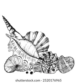 Composición decorativa con conchas de mar y perlas. Ilustración de tinta dibujada a mano vectorizada. Blanco y negro