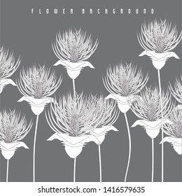 Decorative composition with white chrysanthems on grey background.