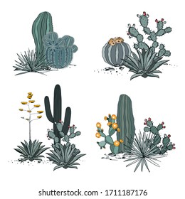 Decorative compositions composed of groups of cacti, blooming prickly pear, agaves, and yucca. Vector set of illustrations isolated on white background.