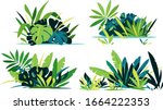 Decorative compositions of different jungle plants on ground, group of green plants isolated, dense vegetation of the jungle