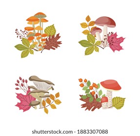 Decorative compositions set with forest mushrooms and autumn leaves, flat vector illustration isolated on white background. Autumn season nature bouquets with mushrooms.