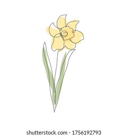 Decorative continuous line  hand drawn daffodil flower, design element. Can be used for cards, invitations, banners, posters, print design