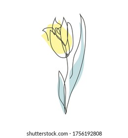 Dekorative, kontinuierliche Linie handgezeichnet Tulpenblume, Design-Element. Kann für Karten, Einladungen, Banner, Poster, Printdesign verwendet werden