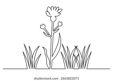 Dekorative kontinuierliche einzeilige Kunst von Gras und Blumen Elemente für saubere und minimale