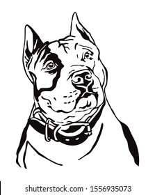 Decorative contour outline portrait of Dog American Staffordshire Terrier, vector illustration in black color isolated on white background. Image for design and tattoo. 