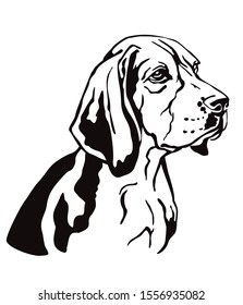 Decorative contour outline portrait of Dog Beagle looking in profile, vector illustration in black color isolated on white background. Image for design and tattoo. 