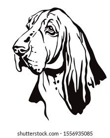 Decorative contour outline portrait of Dog Basset Hound looking in profile, vector illustration in black color isolated on white background. Image for design and tattoo. 