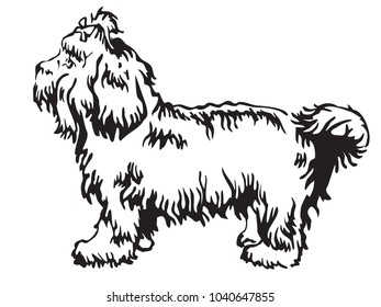 Decorative contour portrait of standing in profile dog Bolonka, vector isolated illustration in black color on white background