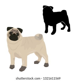 Decorative contour portrait of standing in profile Pug