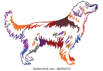 Decorative contour portrait standing in profile dog golden retriever  colorful vector isolated illustration white background