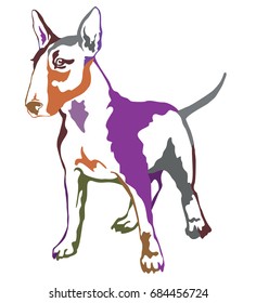 Decorative contour portrait of standing in profile dog Bull terrier, colorful vector isolated illustration on white background