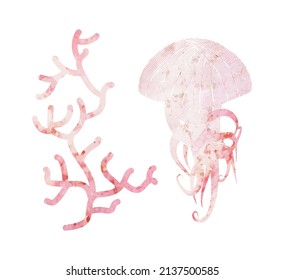 decorative coral, jellyfish cut out textured vector illustration