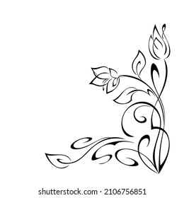 dekoratives Eckdesign mit stylisierten Blumen, Blättern und Gürteln. Grafikdekor