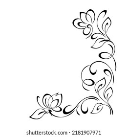 decorative corner design with stylized flowers, leaves and curls. graphic decor