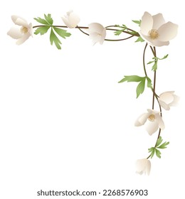 Decorative corner frame of spring white flowers floral decor for text, cards and congratulations on holidays, wedding