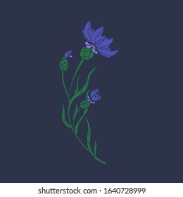 Decorative cornflower flower. Flat colors on black background.