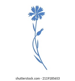 Dekorative Kornblume, handgezeichnete Vektorgrafik einzeln auf Weiß, bunte Blume, Knospe, Doodle-Skizze, Botanische Kräutersilhouette Centaurea für Design-Kräutertee, Kosmetik, Medizin