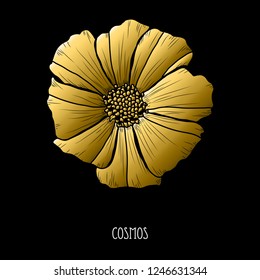 Decorative cosmos  flower, design element. Can be used for cards, invitations, banners, posters, print design. Golden flowers