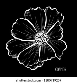 Decorative cosmos flowers, design elements. Can be used for cards, invitations, banners, posters, print design. Floral background in line art style