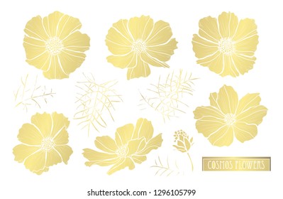 Decorative cosmos flowers, design elements. Can be used for cards, invitations, banners, posters, print design. Golden flowers