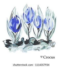 Decorative crocus flowers, design elements. Can be used for cards, invitations, banners, posters, print design. Floral background in watercolor style