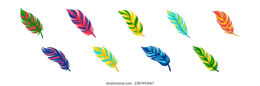 Decorative Curved Feathers as Avian Plumage Vector Set